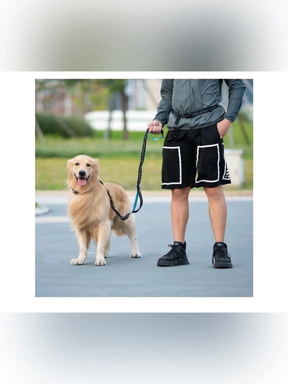 Hands Free Dog Leash with Zipper Pouch, Dual Padded Handles